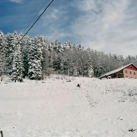 Ferme Vosgienne Renovee Avec Confort Et Nature Pour 7 Pers, Wifi, Animaux Bienvenus - Fr-1-589-190 Vakantiehuis *