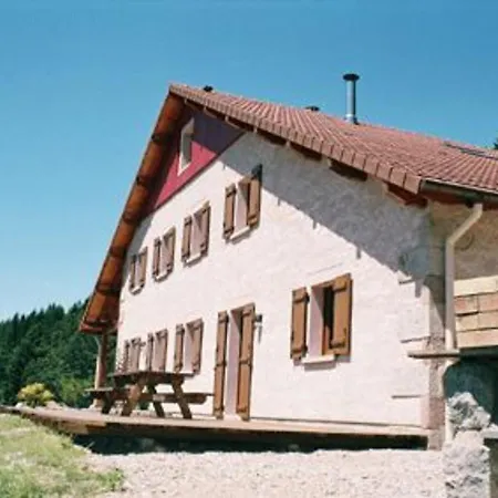 Vakantiehuis Ferme Vosgienne Renovee Avec Confort Et Nature Pour 7 Pers, Wifi, Animaux Bienvenus - Fr-1-589-190