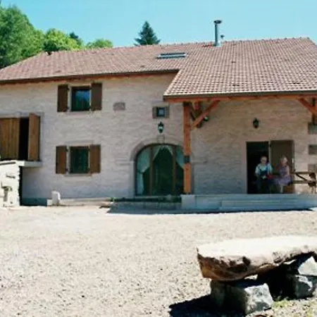 Vakantiehuis Ferme Vosgienne Renovee Avec Confort Et Nature Pour 7 Pers, Wifi, Animaux Bienvenus - Fr-1-589-190