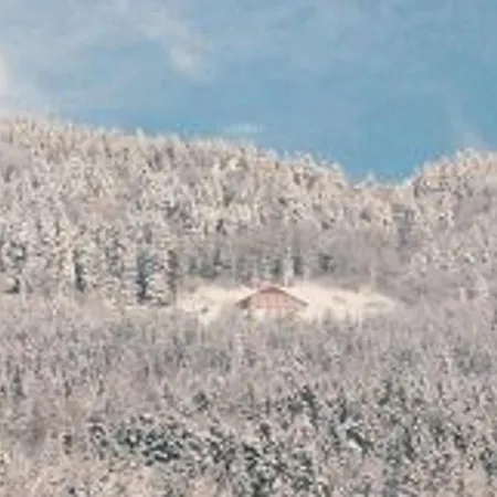 Ferme Vosgienne Renovee Avec Confort Et Nature Pour 7 Pers, Wifi, Animaux Bienvenus - Fr-1-589-190 *